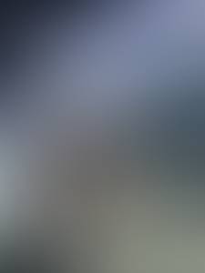 rencontre avec Roosevelt