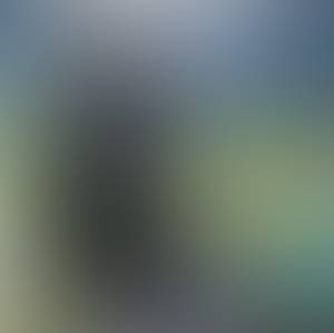 https://x.mediascdn.net/blur/c35b501d40124a88e1d70d1ed77ed9176fd77798c45d53f2b2aa554ad2b264fa.jpeg
