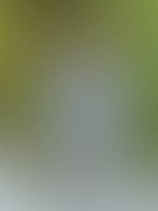 rencontre avec Rufus