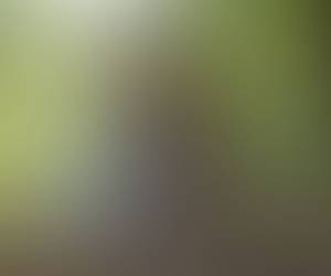 Femme célibataire 50 ans à 