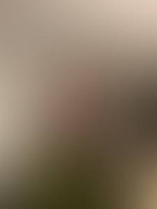 Photo du profil Adam, 40 ans à Limoges