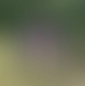 Photo du profil Wilfred, 34 ans à Champmotteux