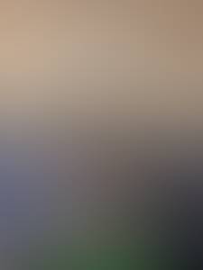 rencontre avec Andre