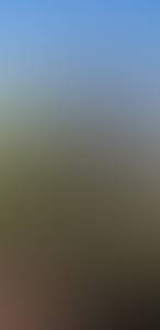 rencontre avec Stanley