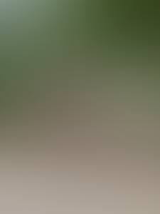 rencontre avec Leland