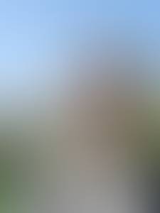 Photo de Cinquantenaire