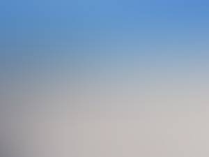 Louis rencontre avec Louis