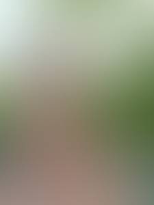 Femme célibataire 46 ans à Renens