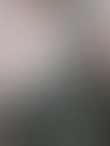 Lula rencontre avec Lula