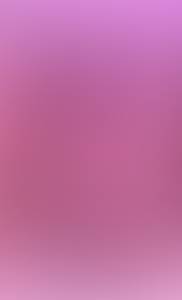 Tara rencontre avec Tara