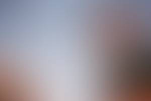 rencontre avec Tommie