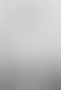 rencontre avec Willis