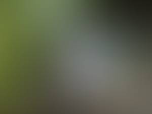 Femme célibataire 61 ans à Zurich