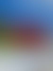 https://x.mediascdn.net/blur/d77cc0bee07f11a07b63324bc6ef36fb1b407a3b36fa5beec4680afbc1653ecf.jpeg