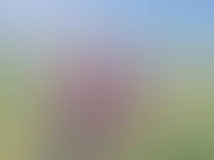 rencontre avec Michelle