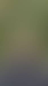 rencontre avec Dustin