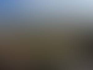 site de rencontre amoureuse mobile