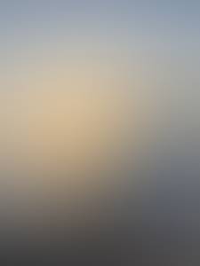 rencontre avec Dustin