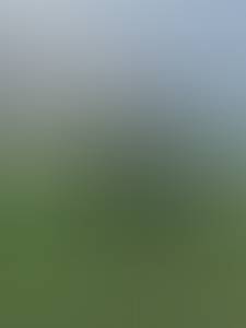 rencontre avec Michele