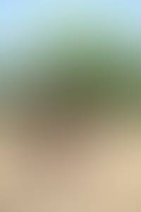 Femme célibataire 43 ans à Toulon
