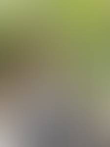 rencontre avec Tommie