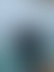 Ricardo rencontre avec Ricardo