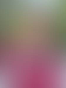 Martin rencontre avec Martin