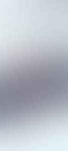 rencontre avec Orville