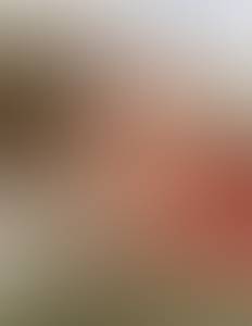 Robin rencontre avec Robin