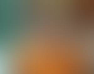 Photo de Moratilla81