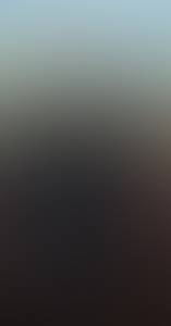 rencontre avec Shawn