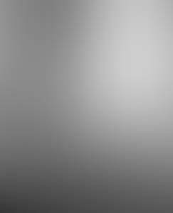 Bruce rencontre avec Bruce