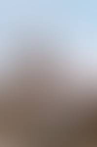 rencontre avec Darrell