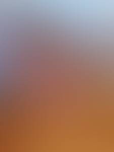 Misty rencontre avec Misty