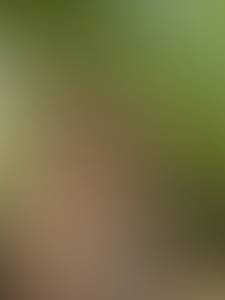 rencontre avec Lindsay