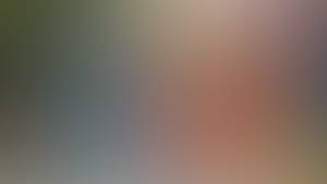 Harvey rencontre avec Harvey