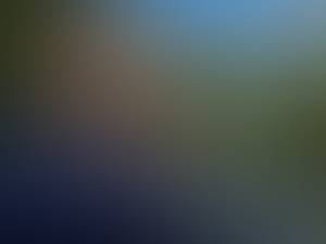 Femme 28 ans Diksmuide