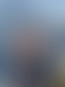Photo du profil Bradford, 31 ans à Beaune