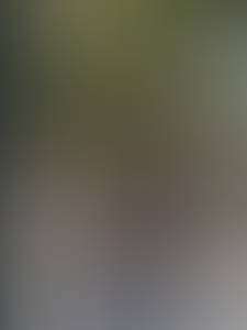 Femme célibataire 22 ans à Reims