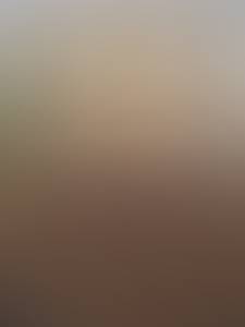 Femme célibataire 42 ans à Le-Havre