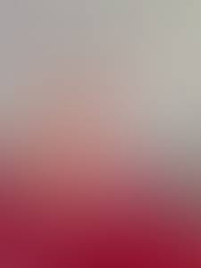 Salvatore rencontre avec Salvatore