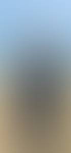 rencontre avec Willis