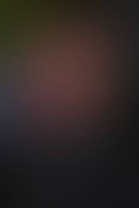 rencontre avec Perry