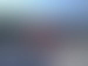 Sylvester rencontre avec Sylvester