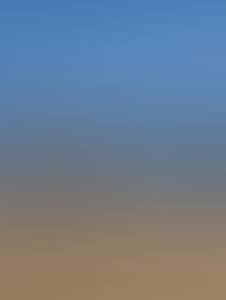 rencontre avec Wilbur