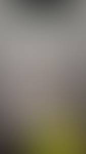 rencontre avec Johnny