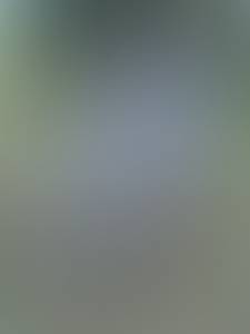 Femme célibataire 68 ans à Nimes