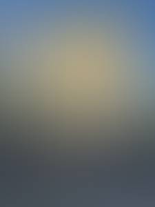 rencontre avec Shane