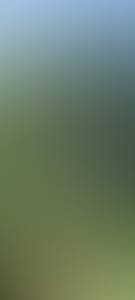 site rencontre gratuit : annonce rencontre  de 