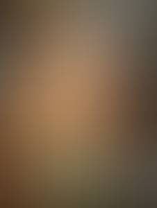 rencontre avec Wayne